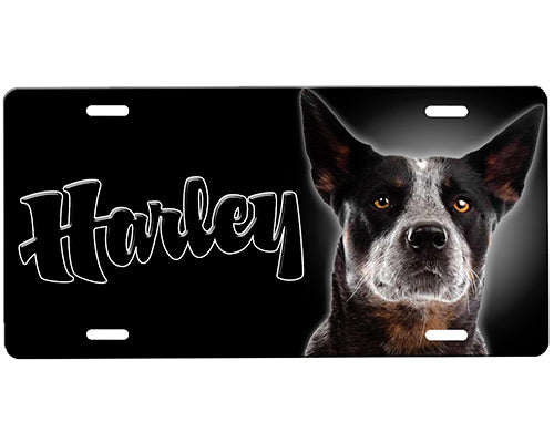 Blue Heeler License Plate