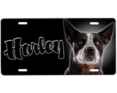 Blue Heeler License Plate