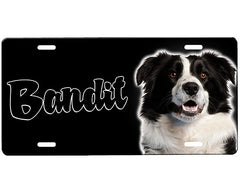 Border Collie License Plate
