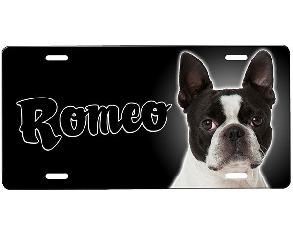 Boston Terrier License Plate