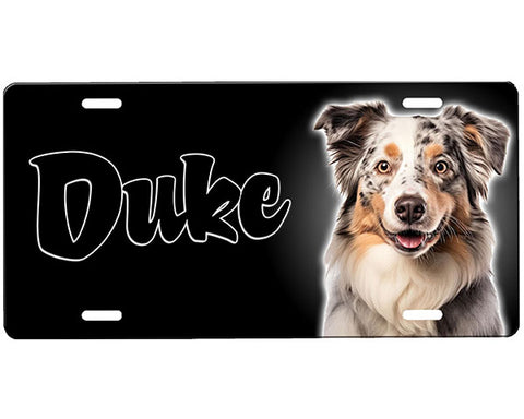 Australian Shepherd License Plate