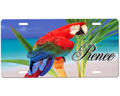 Macaw License Plate
