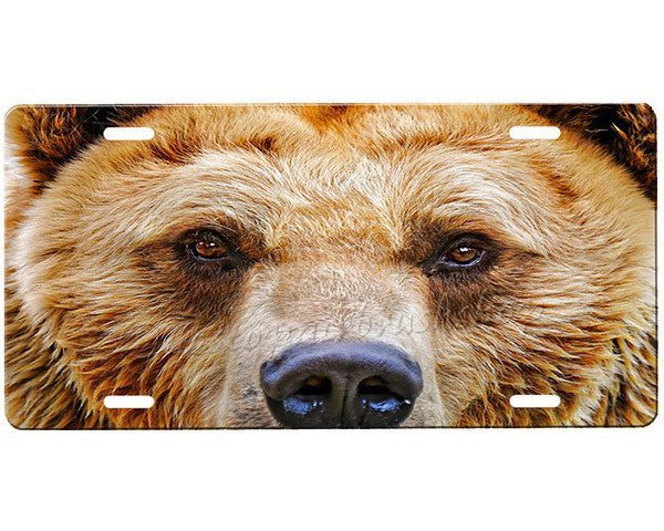 Bear License Plate