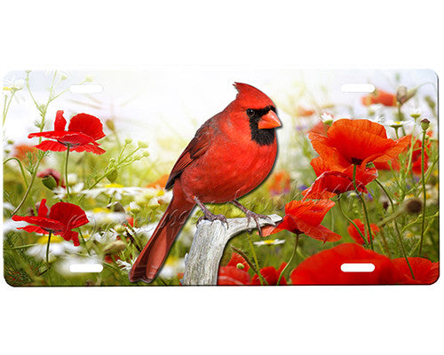 Cardinal License Plate