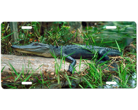 Alligator License Plate