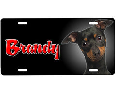 Miniature Pinscher License Plate