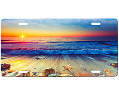 Beach License Plate