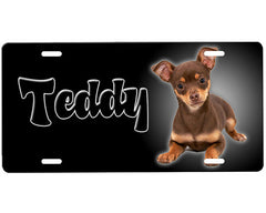 Chihuahua License Plate