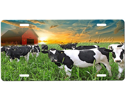 Cows License Plate