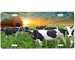 Cows License Plate