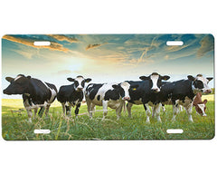 Cows License Plate