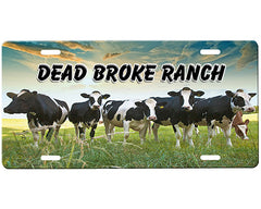 Cows License Plate