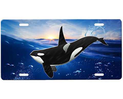 Orca Whale License Plate