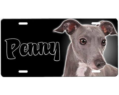 Greyhound License Plate