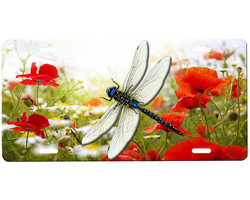 Dragonfly License Plate