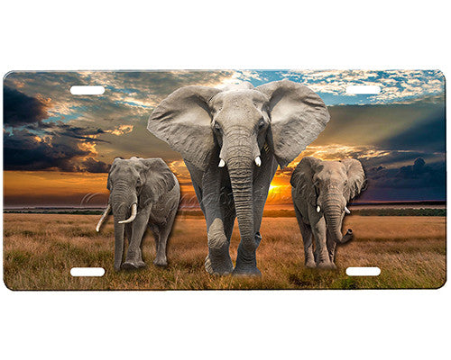 Elephants License Plate