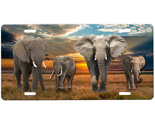 Elephants License Plate