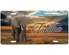 Elephant License Plate