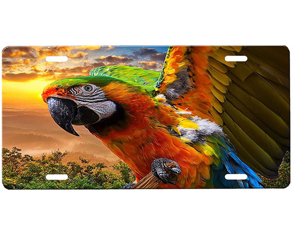 Macaw License Plate
