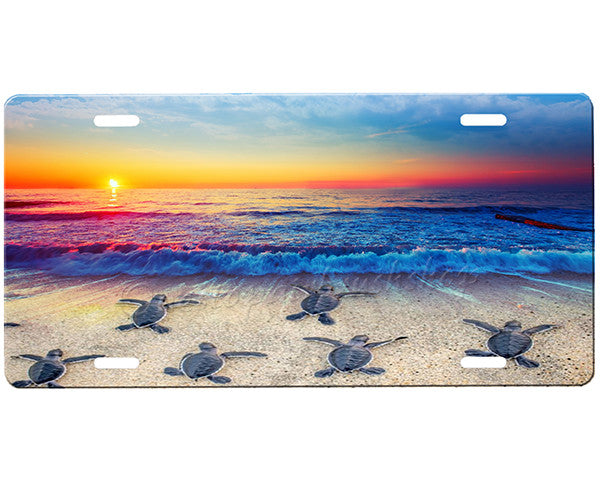 Sea Turtle License Plate