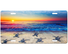 Sea Turtle License Plate