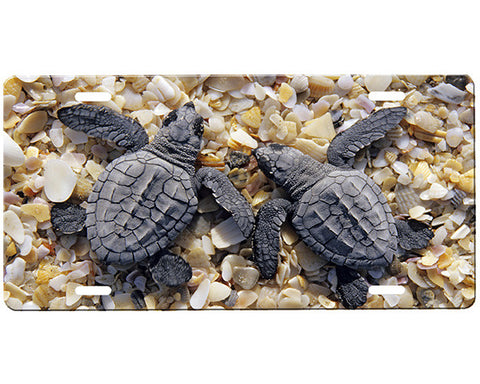 Sea Turtle License Plate