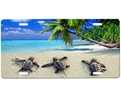 Sea Turtle License Plate