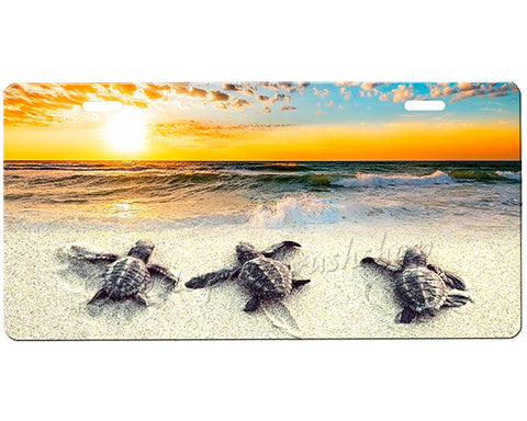 Sea Turtle License Plate