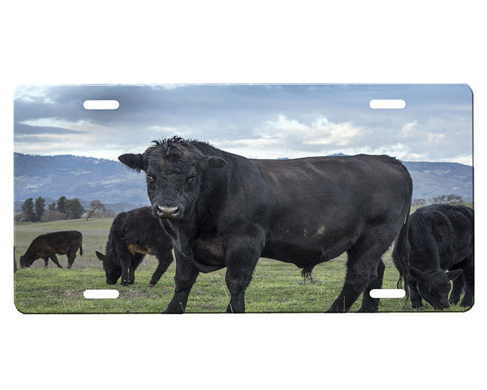 Black Angus Bull License Plate