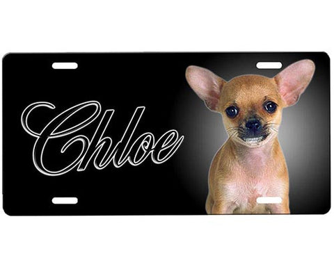 Chihuahua License Plate