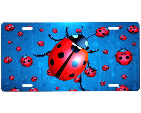 Ladybug License Plate