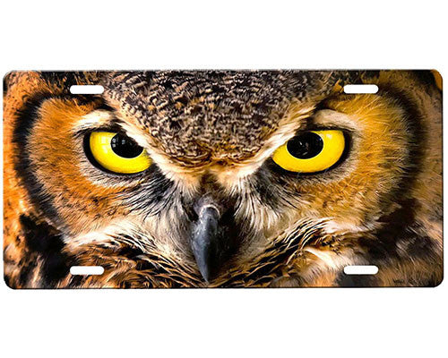 Owl License Plate