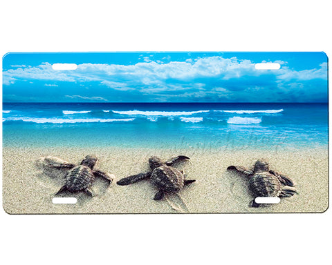 Sea Turtle License Plate