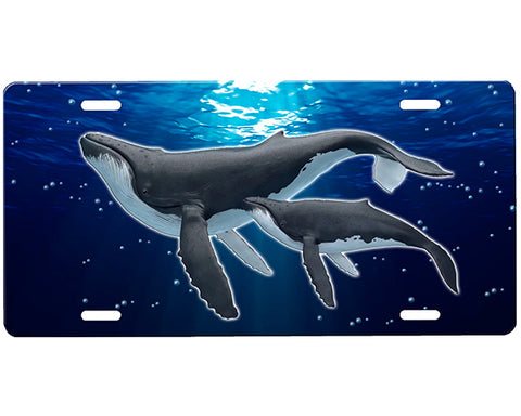 Whale License Plate